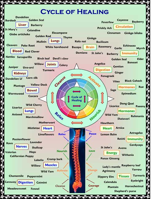 Herbal Remedy Chart